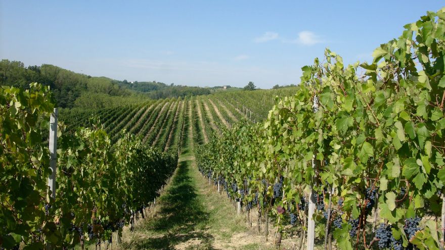 Marchesi Incisa della Rocchetta