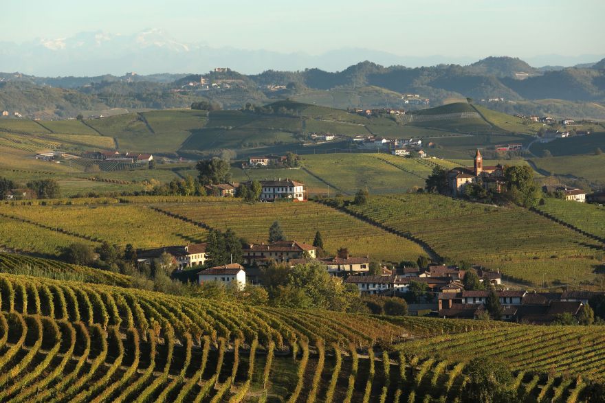Oddero Poderi e Cantine