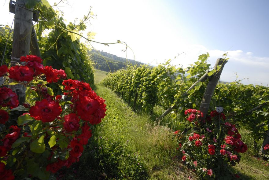 Cascina Castl&egrave;t